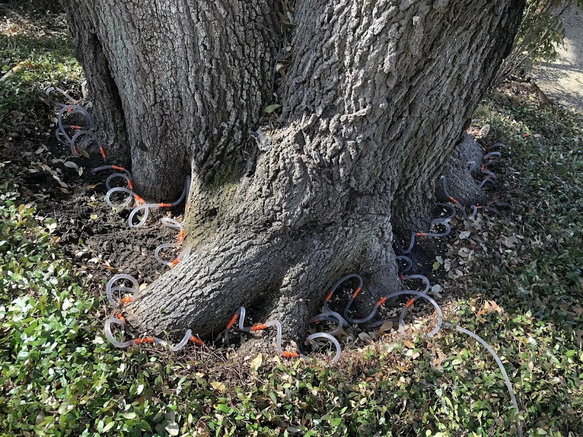 Detailed Shrub and Hedge Trimming job site in Follett