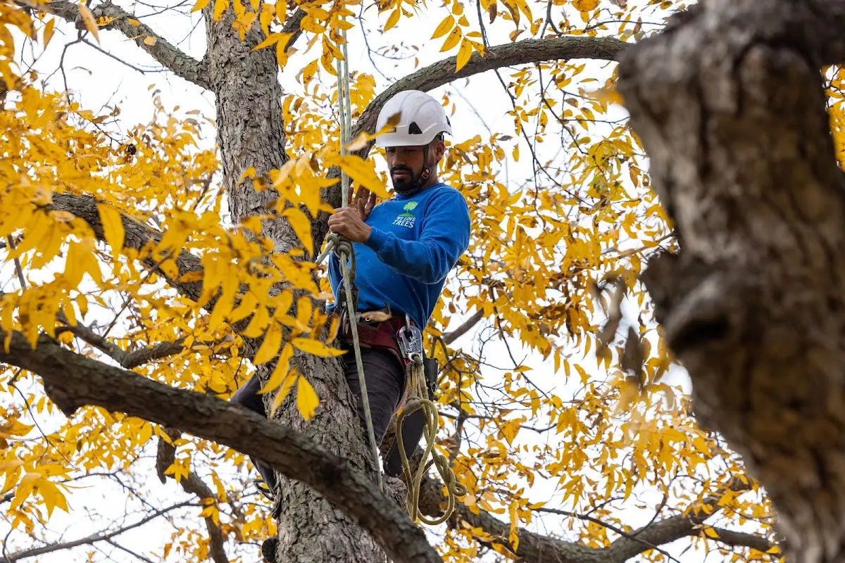 Skilled Storm Damage Cleanup crew working in Follett