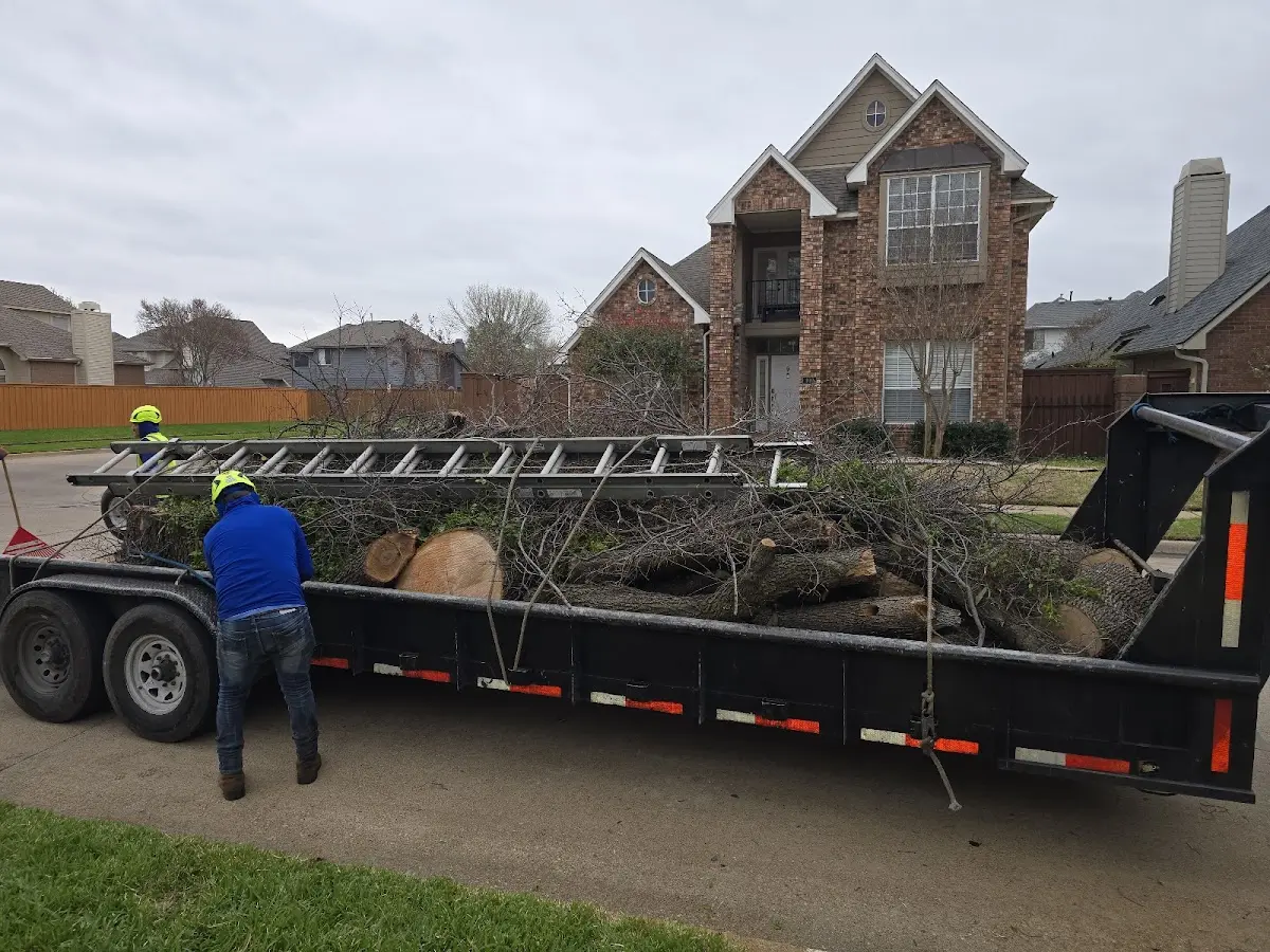 Expert Tree Removal with proper safety equipment in Follett